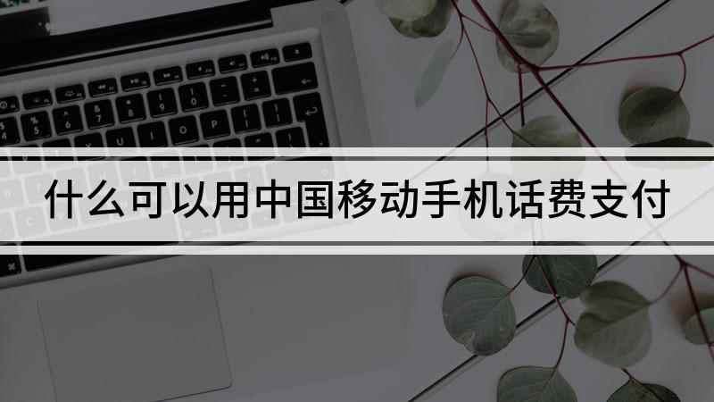 什么可以用中国移动手机话费支付(怎么使用移动话费充值晋江币)