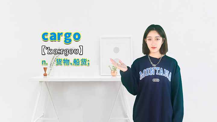 cargo的讲解(cargo这个单词你学会了吗)