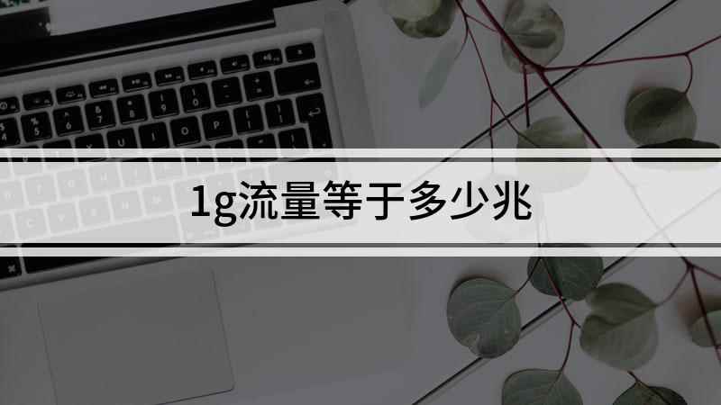 1g流量等于多少兆(1MB或1GB的流量能做一些什么)