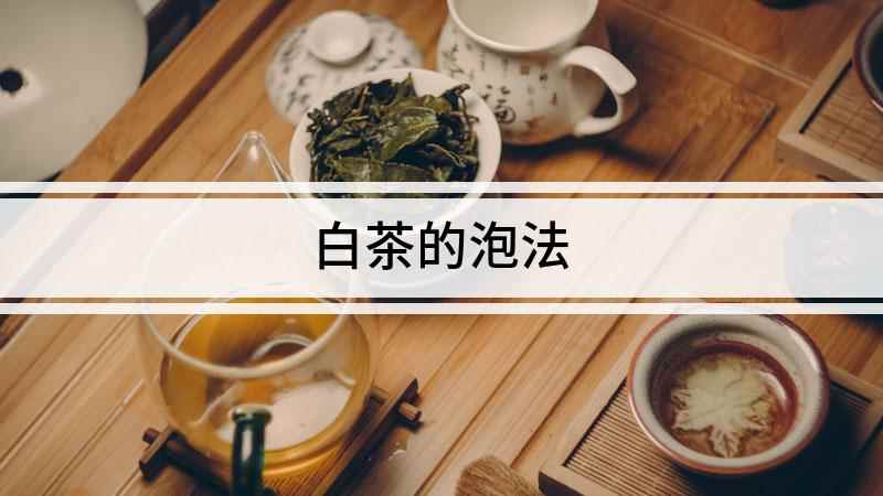 白茶的泡法(一杯白茶可以冲泡四五次)