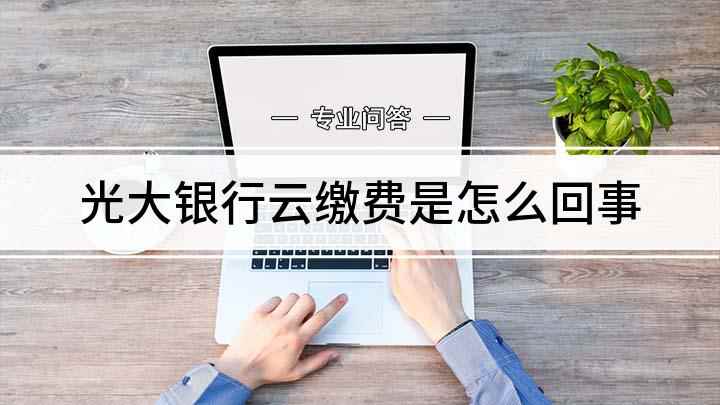 光大银行云缴费是怎么回事(怎么使用云缴费缴纳费用)