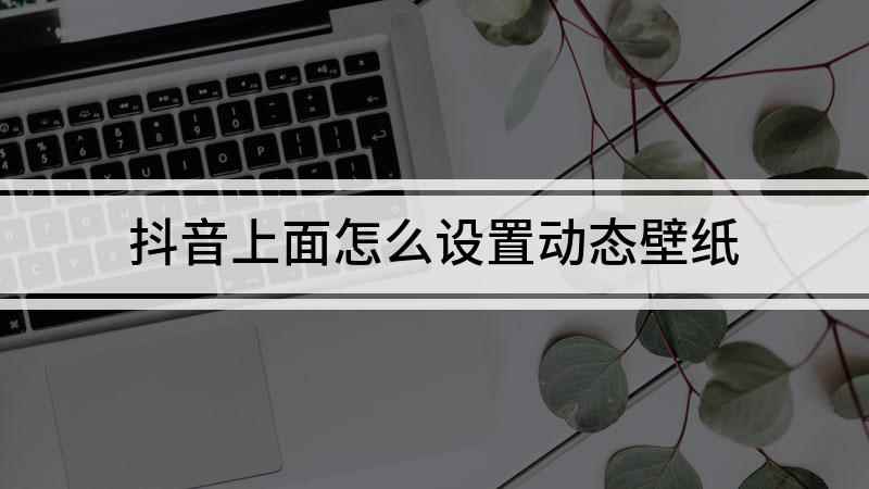 抖音上面怎么设置动态壁纸(抖音动态壁纸设置成功案例)