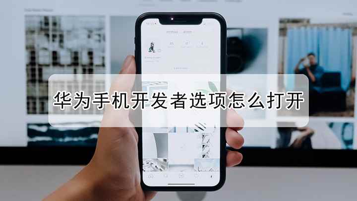 华为手机开发者选项怎么打开(华为nova 7 SE演示机)