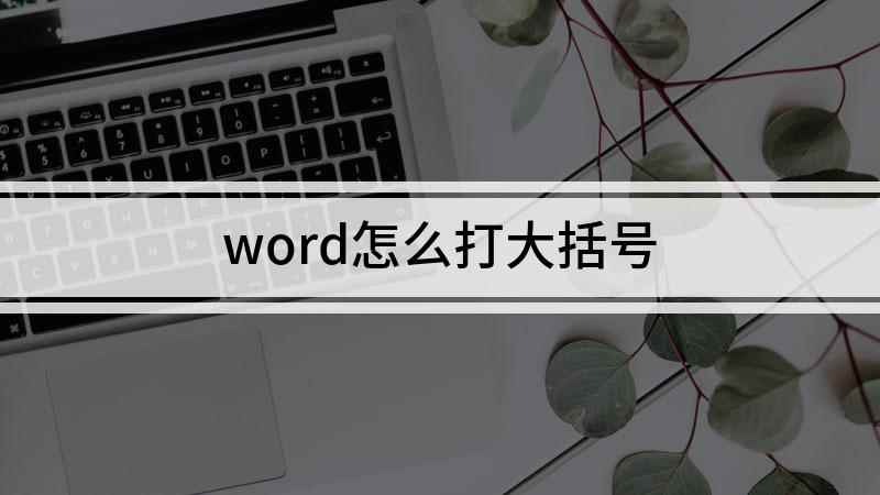 word怎么打大括号(word如何加入大括号)