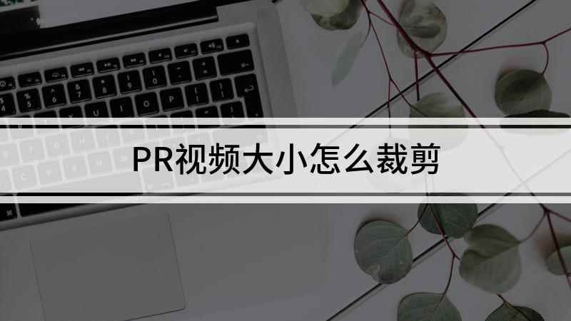 PR视频大小怎么裁剪(戴尔灵越7000,适用系统:Windows10,Premie)