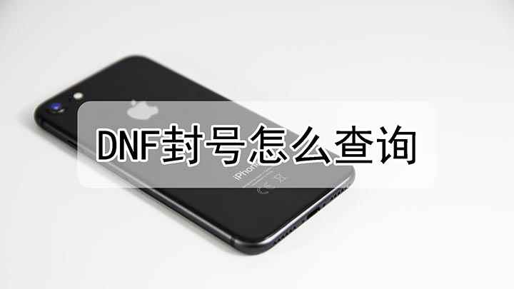 DNF封号怎么查询(DNF帐号被封了应该怎么查询)