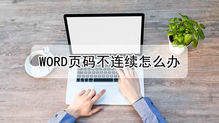 word页码不连续怎么办(戴尔成就3690,适用系统:Windows10)