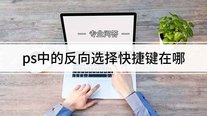 ps中的反向选择快捷键在哪(Adobe Photoshop CC 2019怎样使用快捷键)