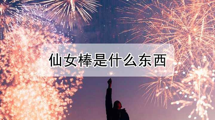 仙女棒是什么东西