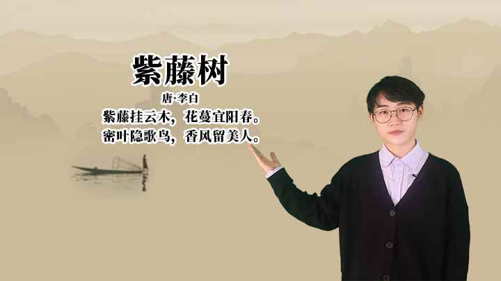 李白《紫藤树》讲解、赏析(紫藤树:密叶隐歌鸟,香风留美人)