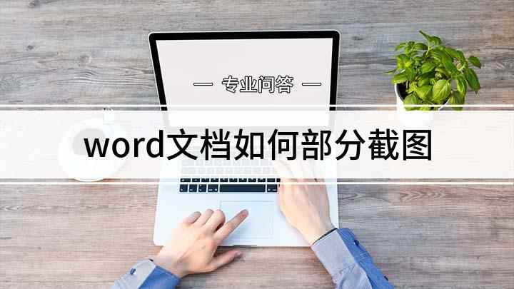 word文档如何部分截图(word文档怎么截图)