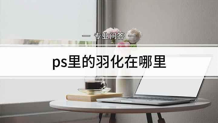 ps里的羽化在哪里(Adobe Photoshop CC 2019使用PS处理、)