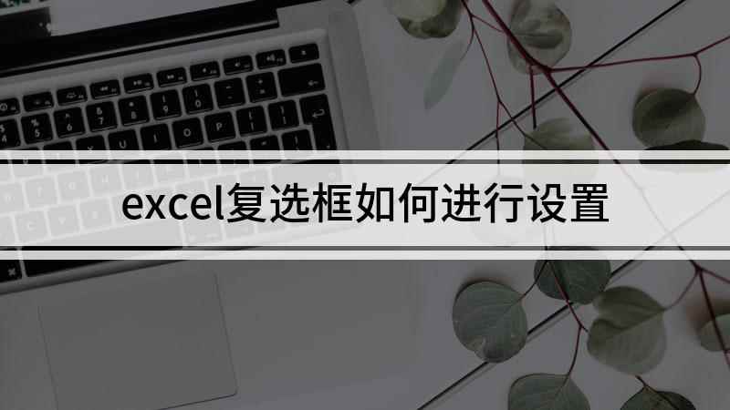 excel复选框如何进行设置(Surface Go 2,适用系统:Windows 10)