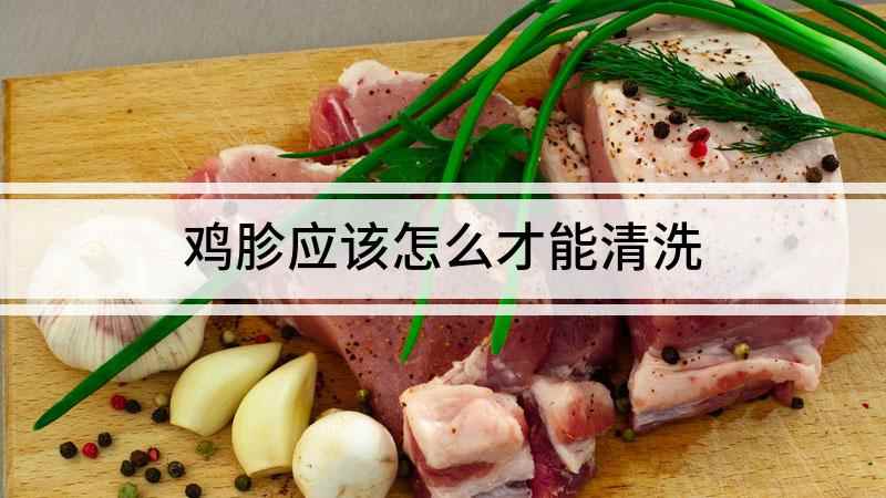 鸡胗应该怎么才能清洗(鸡胗怎么清洗鸡胗是鸡身上一个重要的器官,也是家常菜酸辣鸡杂)