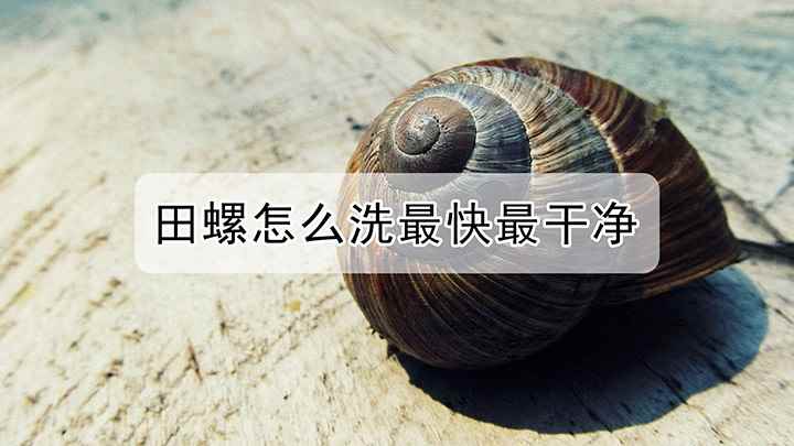 田螺怎么洗最快最干净