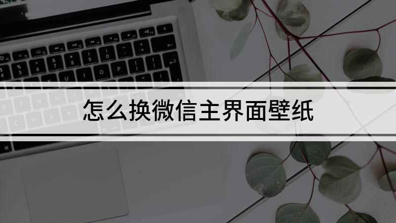 怎么换微信主界面壁纸(微信壁纸怎么设置打开手机上的微信,找到下方工具栏里的)