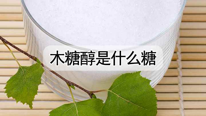 木糖醇是什么糖(木糖醇是什么)