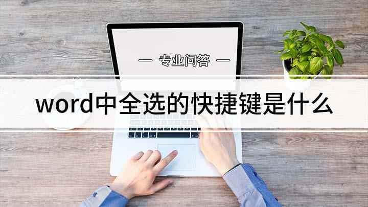 word中全选的快捷键是什么(全选的快捷键是什么,适用系统)