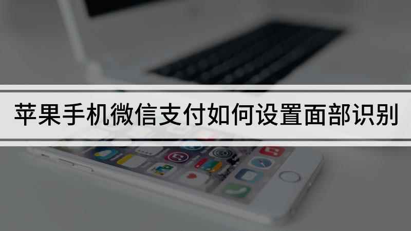 苹果手机微信支付如何设置面部识别(微信面容支付启用方法)