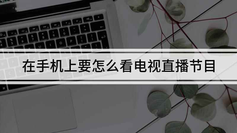 在手机上要怎么看电视直播节目(怎样在手机上看电视直播节目)