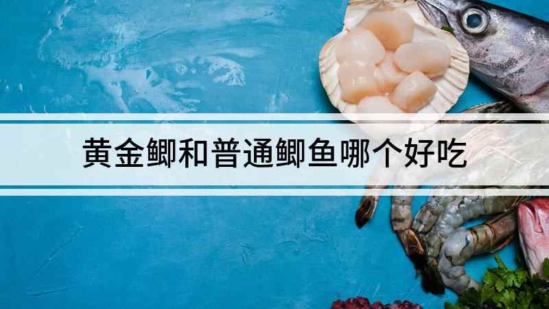 黄金鲫和普通鲫鱼哪个好吃(黄金鲫鱼与普通鲫鱼有很大的区别)