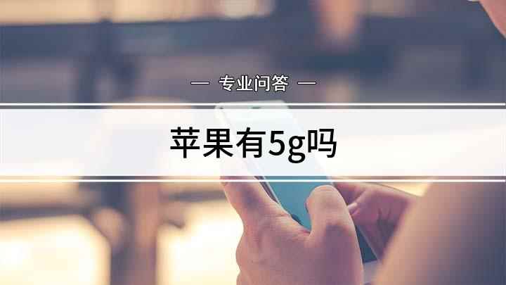 苹果有5g吗(苹果手机支持5G吗)