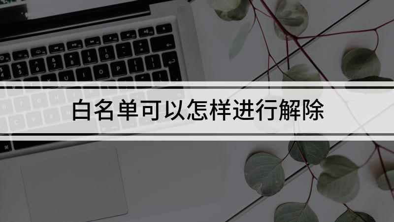 白名单可以怎样进行解除(iPhone12演示机)
