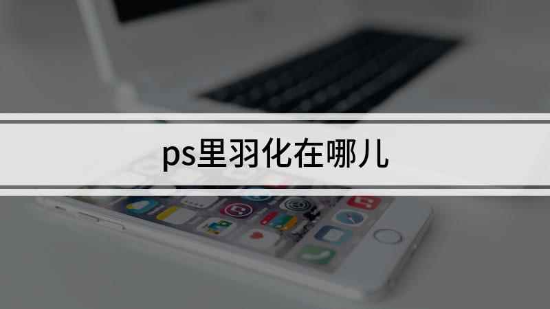 ps里羽化在哪儿(Adobe Photoshop CC 2019使用PS处理、)