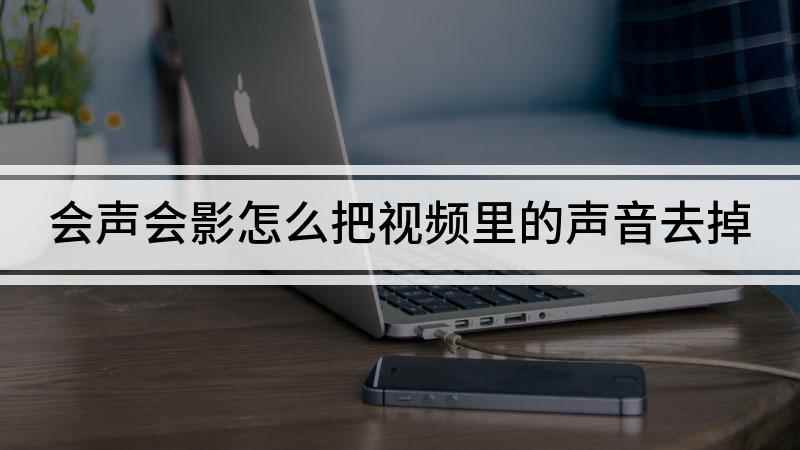 会声会影怎么把视频里的声音去掉(戴尔灵越7000,适用系统:Windows10,会声会影20)