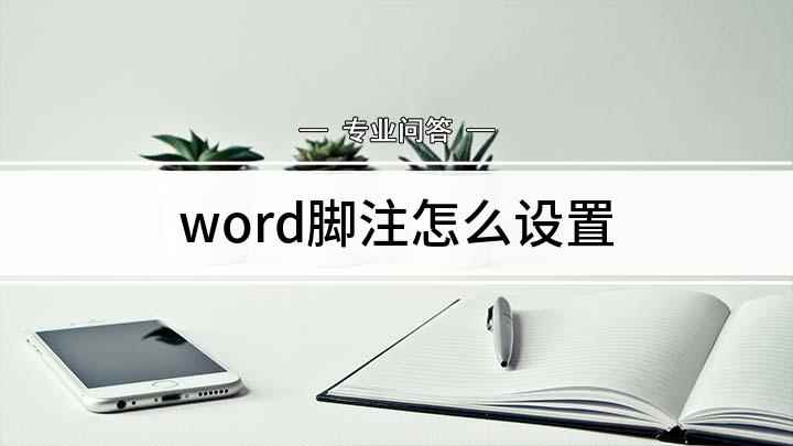word脚注怎么设置(Word文档怎么插入脚注)