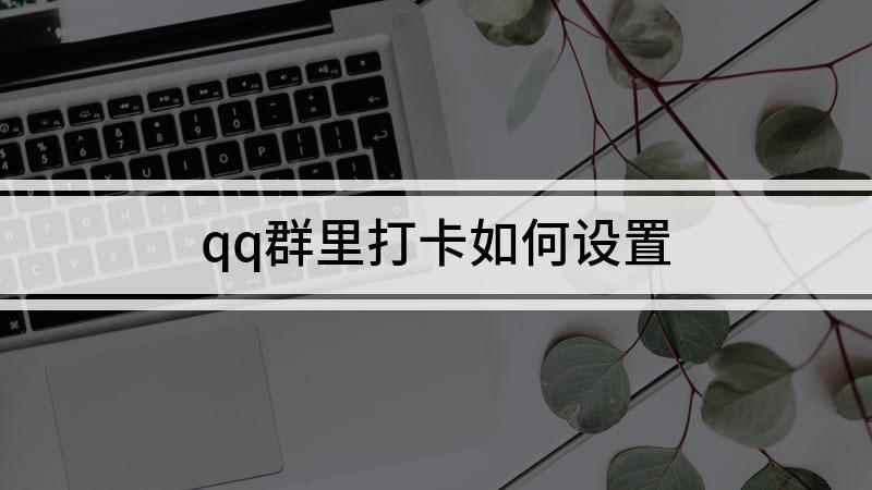 qq群里打卡如何设置(OPPO A11手机群聊打卡方法)