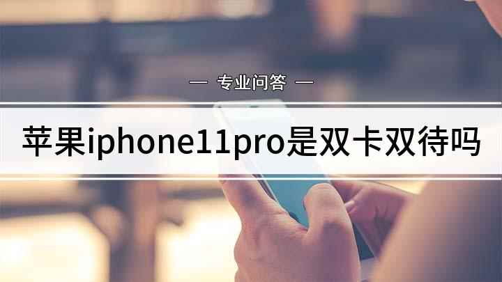 苹果iphone11pro是双卡双待吗(iPhone11Pro是不是双卡而有所犹豫)