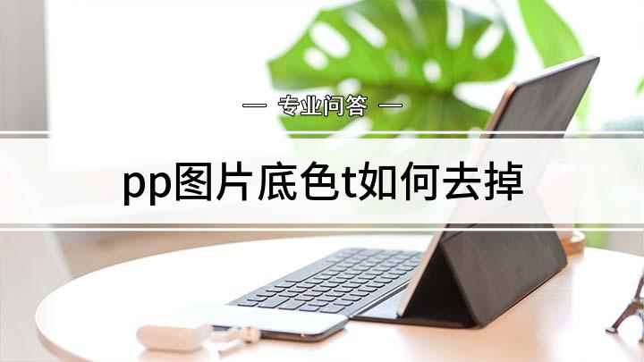 pp图片底色t如何去掉(ppt中将图片背景变透明的方法)