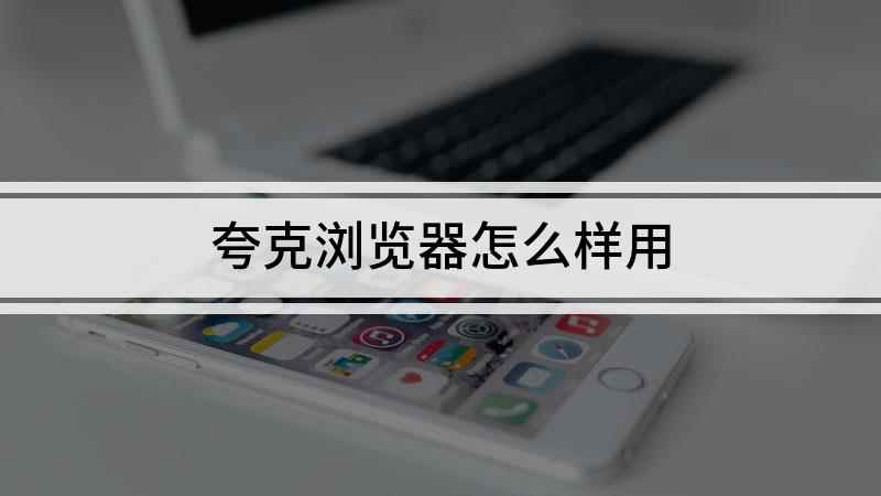 夸克浏览器怎么样用(iPhone12演示机)
