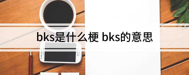 bks是什么梗是什么梗(短语搭配:Iyengar BKS 艾扬格)