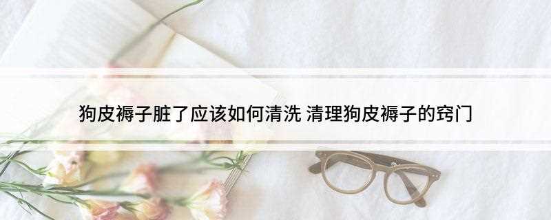 狗皮褥子脏了应该如何清洗(玉米面和褥子有什么区别)