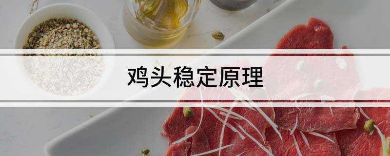 鸡头稳定原理(鸡头太抖,鸡不能保证视线稳定,还会被自己抖晕过去)