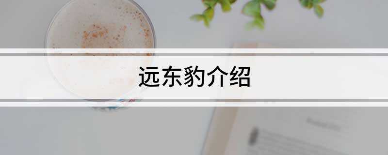 远东豹介绍(远东豹是豹的一个亚种,是北方寒带地区体型仅次于东北虎的大型猫)
