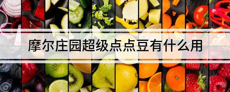 摩尔庄园超级点点豆有什么用(超级点点豆可以兑换物品)
