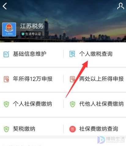 如何查询个人所得税