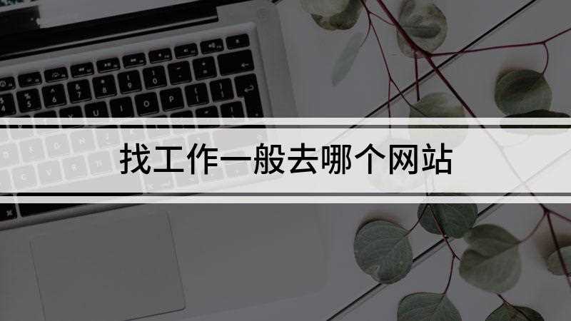 找工作一般去哪个网站