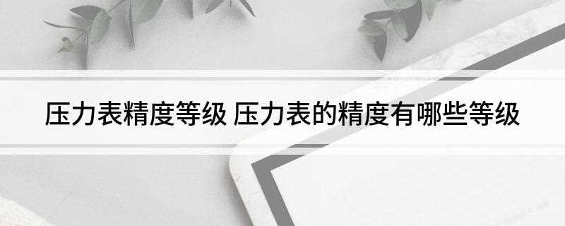 压力表精度等级(精密型压力表的精度等级)