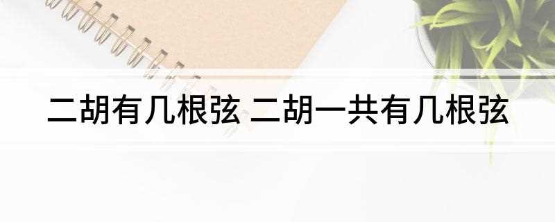 二胡有几根弦(中国民族乐器家族中主要的弓弦乐器)