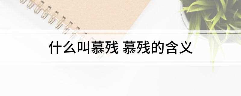 什么叫慕残 慕残的含义(Devotee(慕残)是一种审美观念的认知)