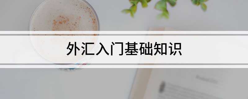 外汇入门基础知识(外汇基础知识都有哪些)