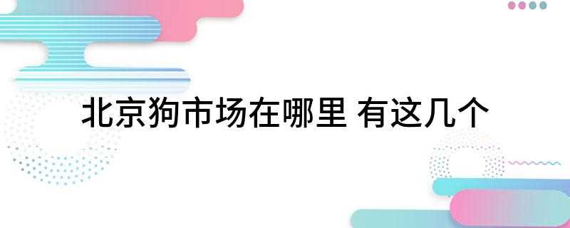北京狗市场在哪里(北京国都宠物交易市场有哪些)