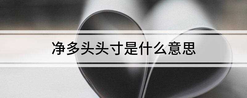 净多头头寸是什么意思(净多头头寸的多少是推升价格上涨的关键因素)