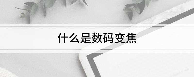 什么是数码变焦(DigitalZoom数码变焦)