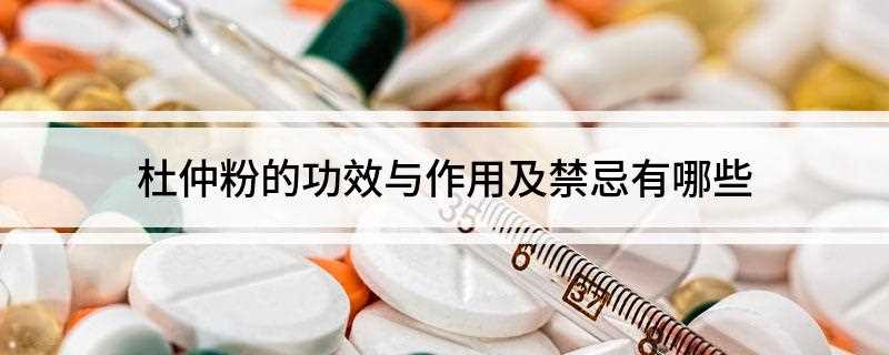 杜仲粉的功效与作用及禁忌有哪些(杜仲粉具有调节血脂、降血压、保肝的作用)