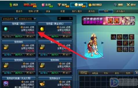 dnf宠物怎么获得(DNF怎么获得宠物)